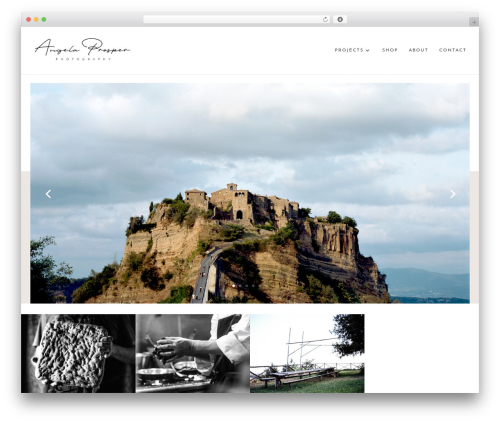 WordPress theme Divi - angelaprosper.com