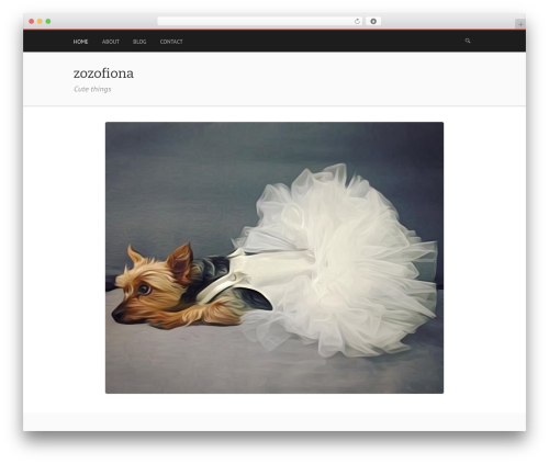 WordPress theme Mixr - zozofiona.com WordPress theme Mixr - zozofiona.com