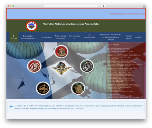 Candidate best WordPress theme - fnapara.fr