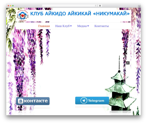 Simple elegant portfolio WordPress plugin - aikikai-iv.ru