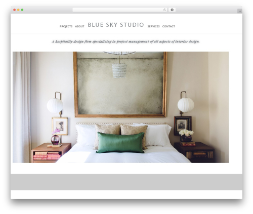 Theme WordPress Divi - blueskystudiollc.com