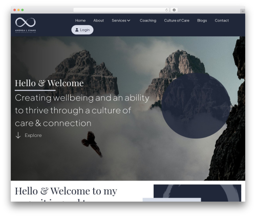 Bt pro WordPress plugin - andrealevans.com