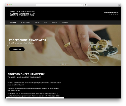 Atweb cookies WordPress plugin - janusolesen.dk