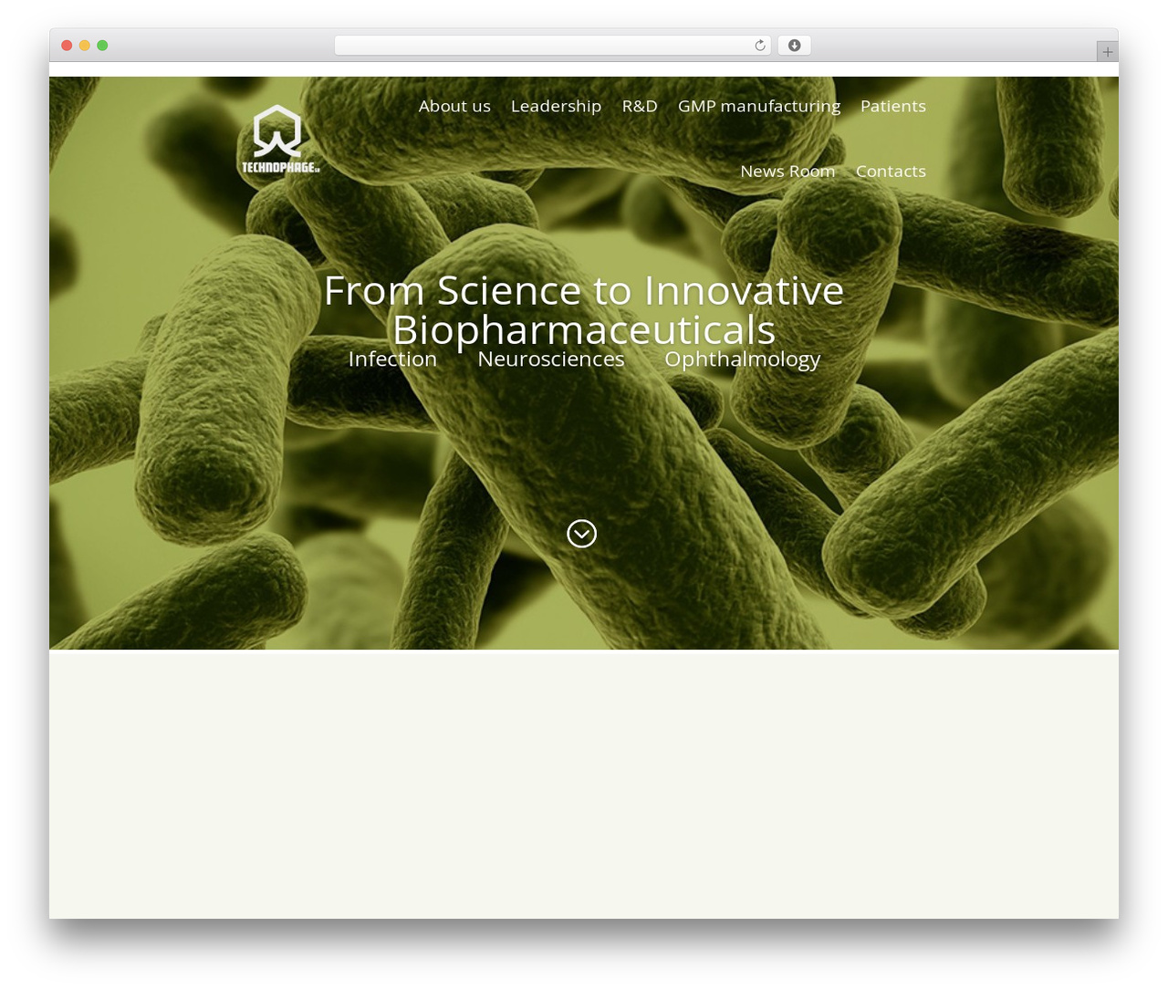 Divi WordPress theme - technophage.pt Divi WordPress theme - technophage.pt