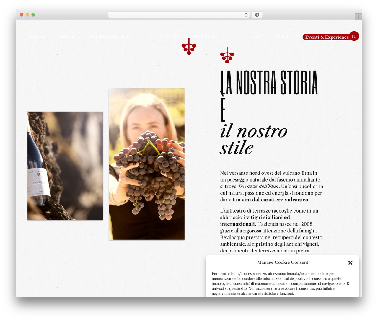 I01TimberTheme theme WordPress - terrazzedelletna.it