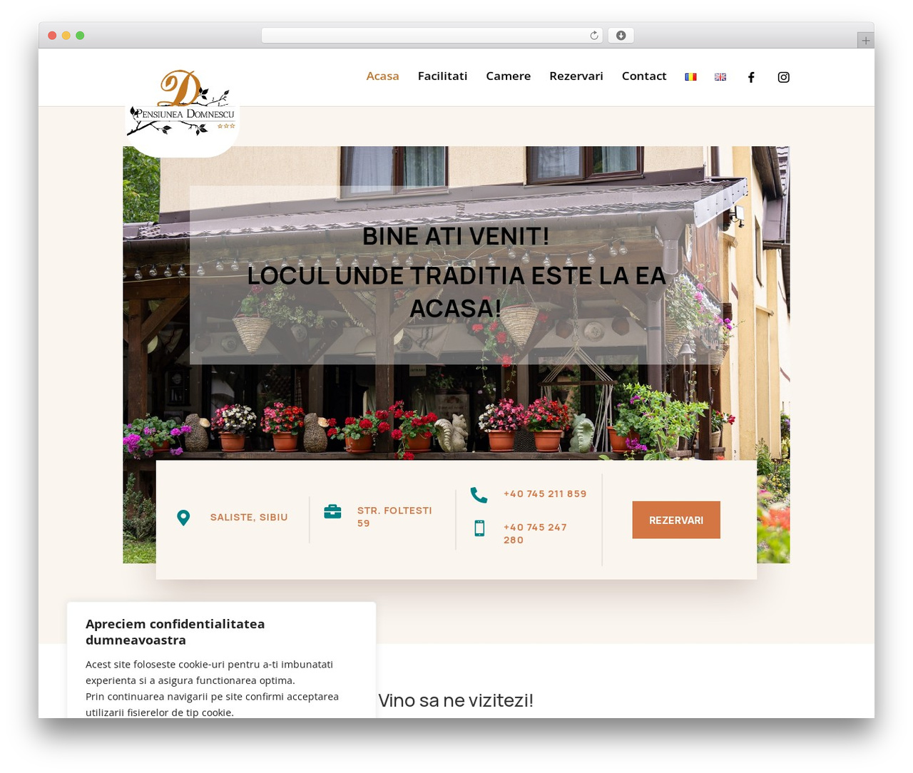 Theme WordPress Divi - domnescu.ro