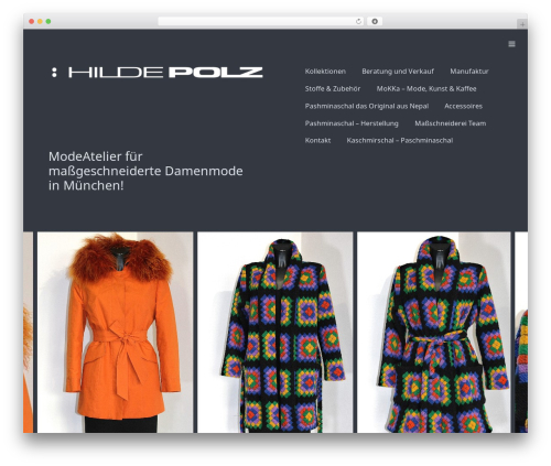Camera theme WordPress - hildepolz.de