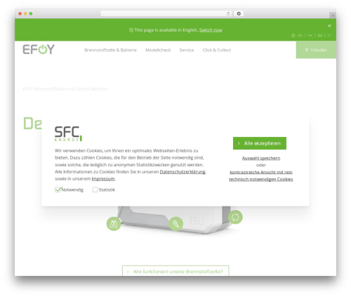 SFC MultiSite WordPress theme - www.my-efoy.com