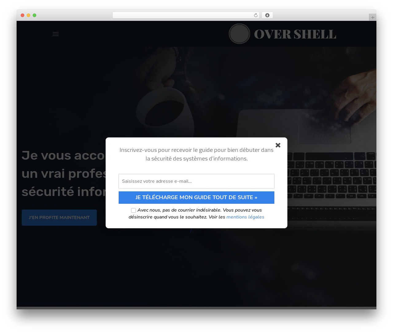 Theme WordPress Zikzag - overshell.com Theme WordPress Zikzag - overshell.com
