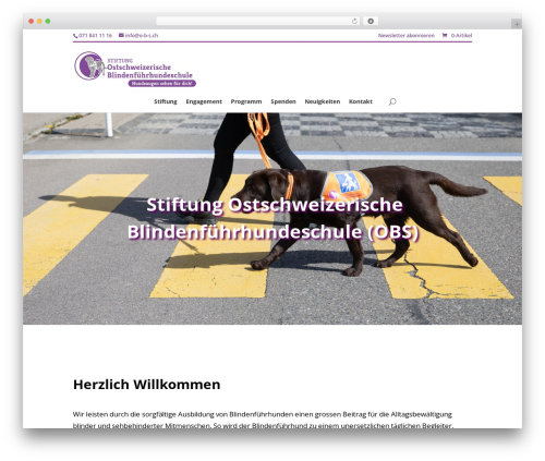 Divi article cards WordPress plugin - o-b-s.ch