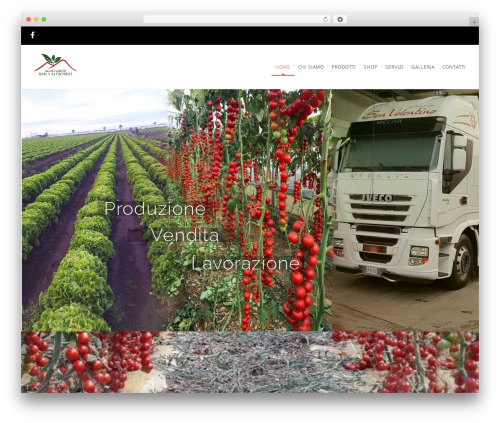 WP_Nuvo theme WordPress - aziendagricolasanvalentino.com