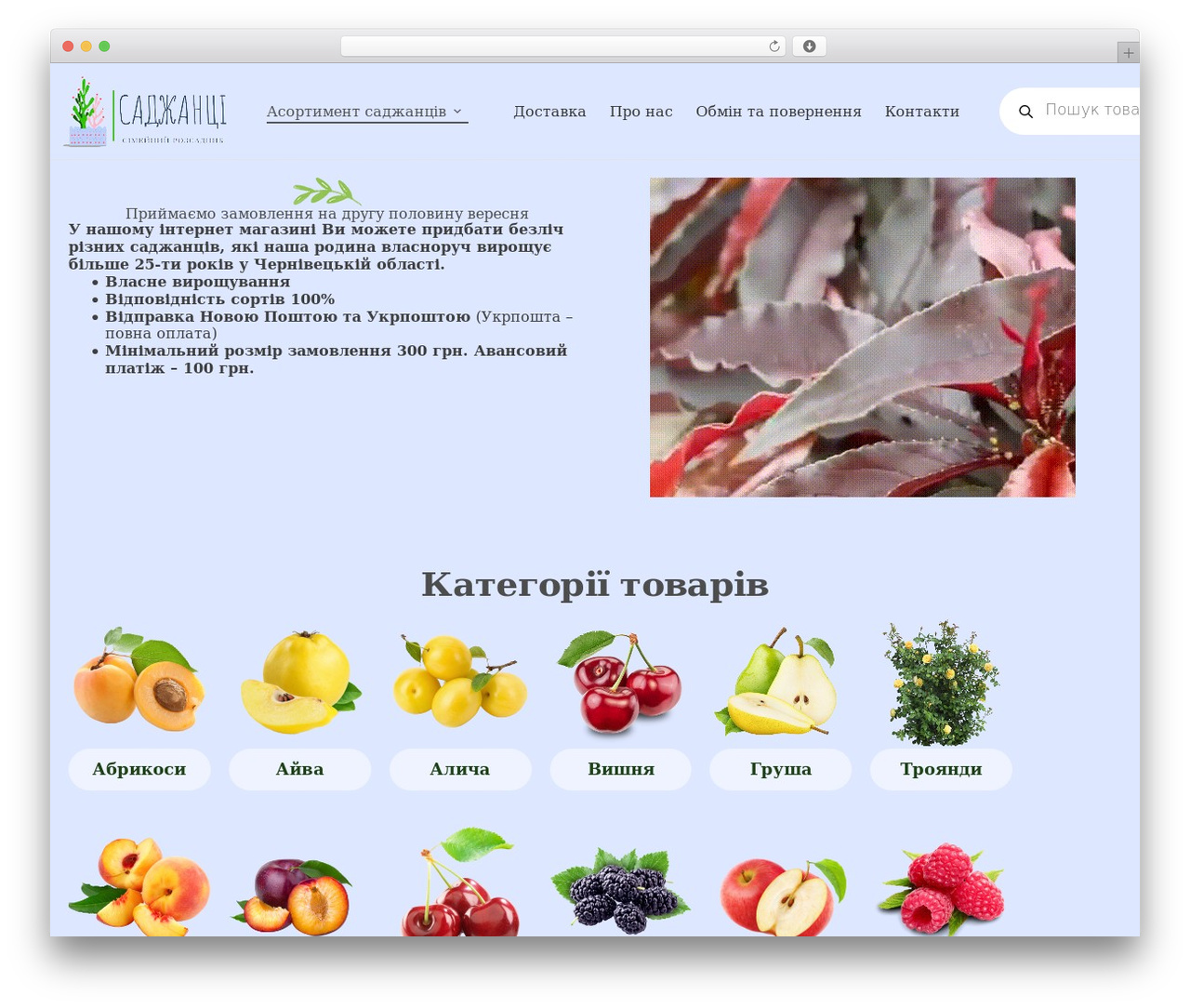 Blocksy Child WordPress theme - sadzhantsi.com Blocksy Child WordPress theme - sadzhantsi.com