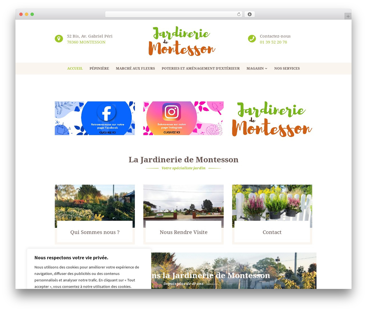 Buisson theme WordPress - jardineriedemontesson.fr