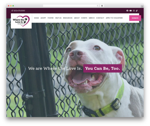Buzz To The Rescues WordPress theme - wheretheloveis.org