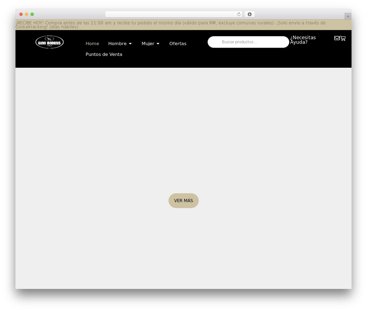 Hello Elementor theme WordPress - ginorodinis.cl