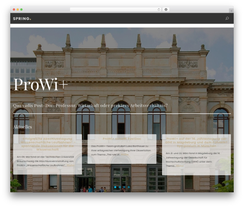 spring WordPress theme - prowi-studie.de
