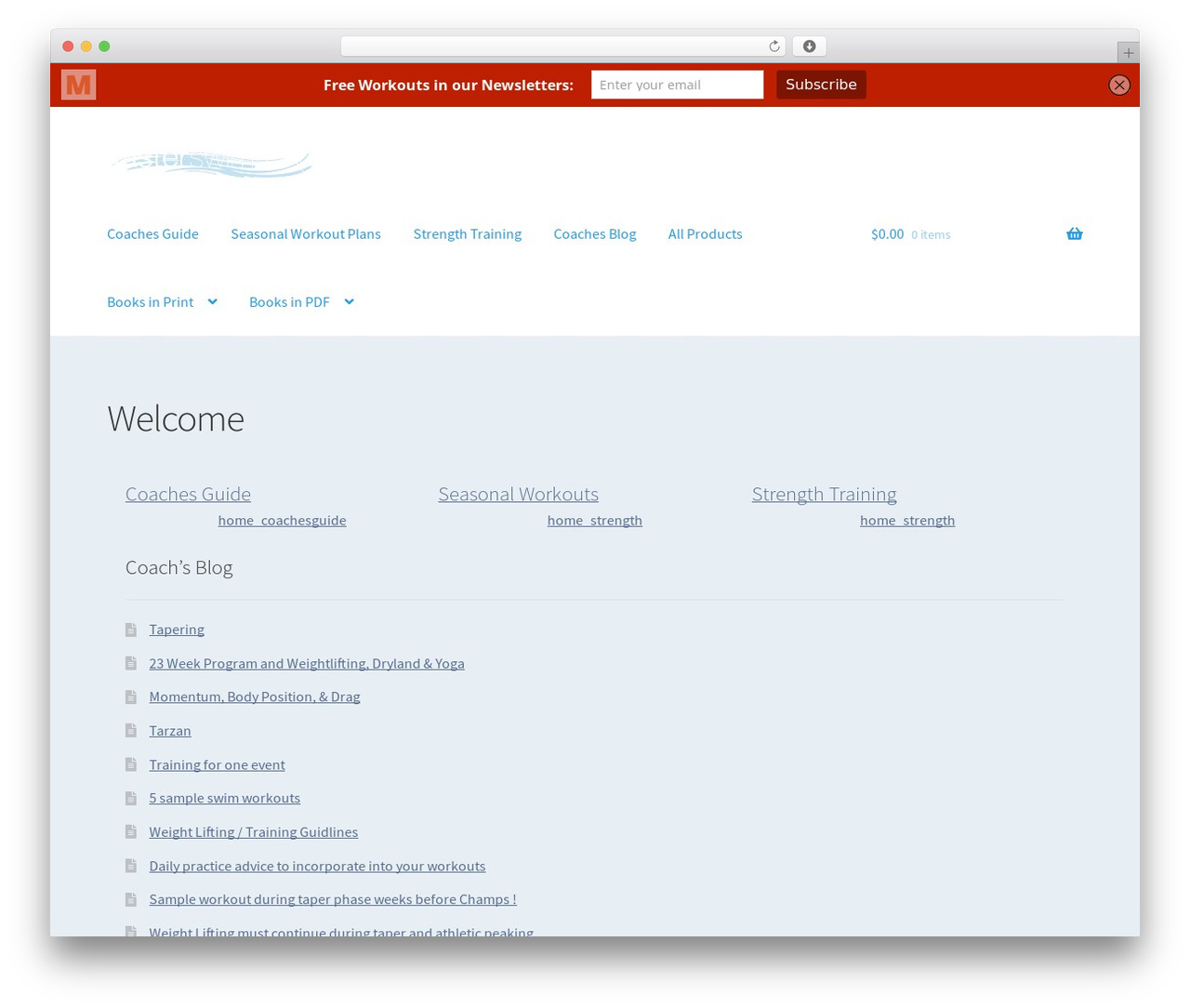 Storefront WordPress store theme - fasterswimming.com