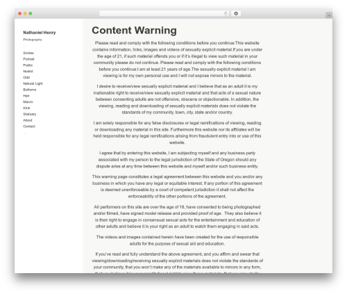 Touchfolio theme WordPress - nathanielhenry.com