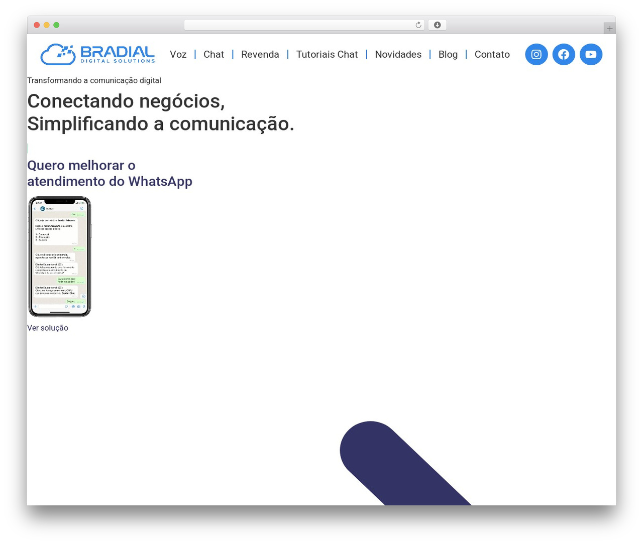 WordPress theme Hello Elementor - bradial.com.br