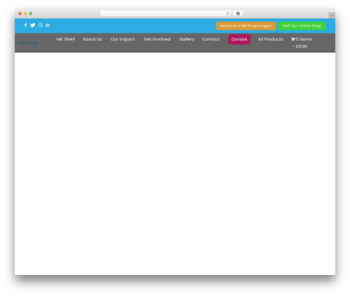 Woocommerce simple auctions WordPress plugin - mksnap.org