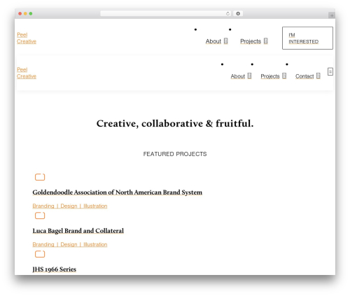 WordPress theme Pro - peel-creative.com