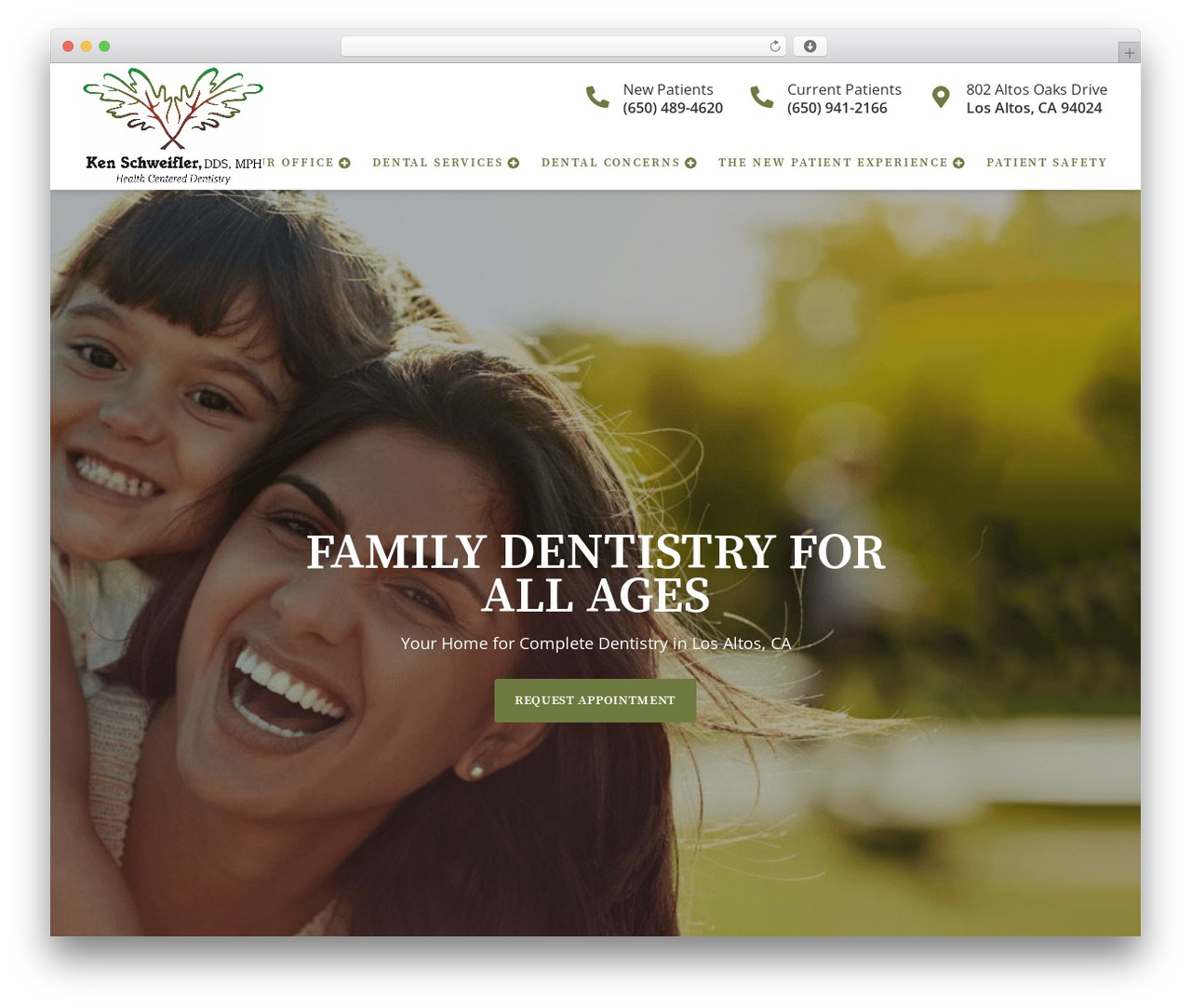 Codebase Child premium WordPress theme - dentistlosaltos.com