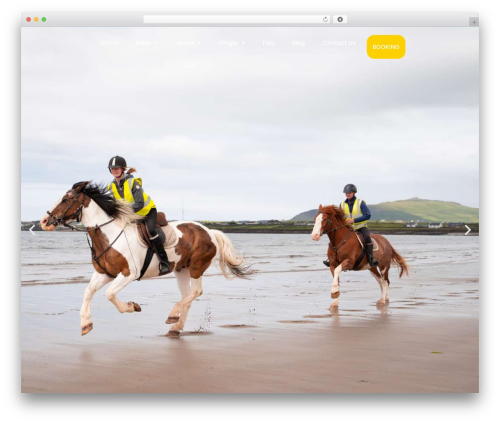 Visitor Traffic Real Time Statistics (visitors-traffic-real-time-statistics) free WordPress plugin - dinglehorseriding.com