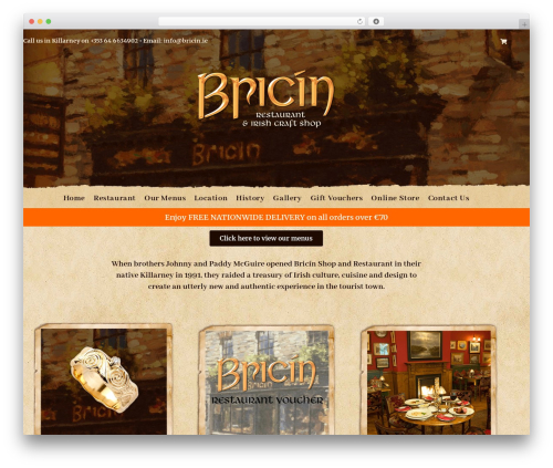 OceanWP WordPress theme - bricin.ie