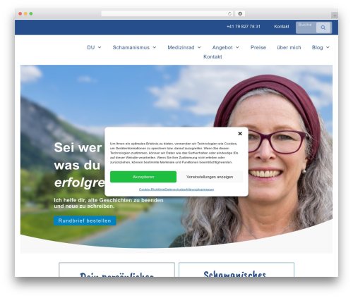 Dsgvo pixelmate premium WordPress plugin - visioterra.ch