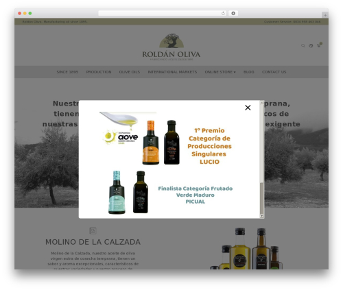 upBootWP WordPress theme - roldanoliva.com