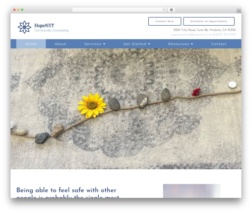 WordPress theme Megatheme - hopenetcc.com