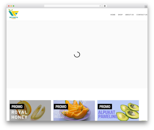 HT Feed (ht-instagram) free WordPress plugin - wiyarta.farm
