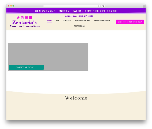 Custom Theme theme WordPress - zentaria.com