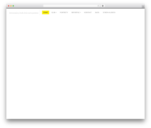Fluxus WordPress theme - lubstudio.com