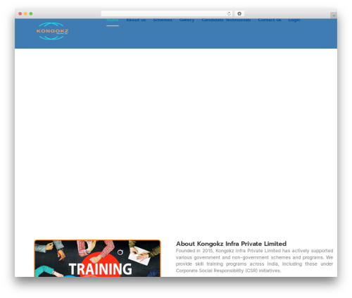 Proelements 3.28.1 WordPress plugin - kongokz.com
