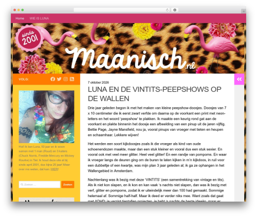 Hueman WordPress theme - maanisch.com