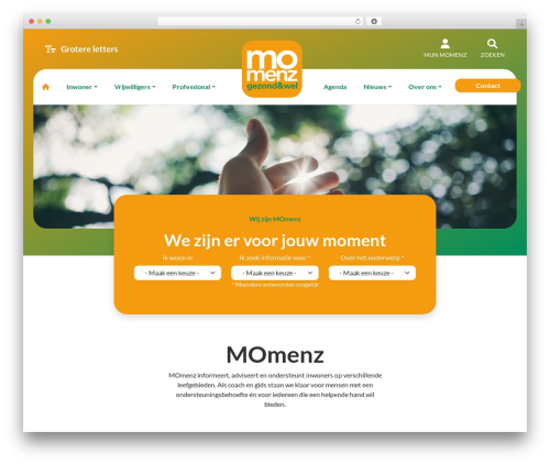 Bs grid main WordPress plugin - momenz.nl