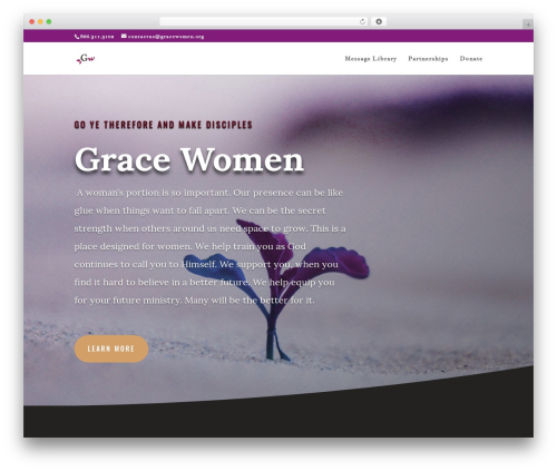 Seriesengine_plugin WordPress plugin - gracewomen.org
