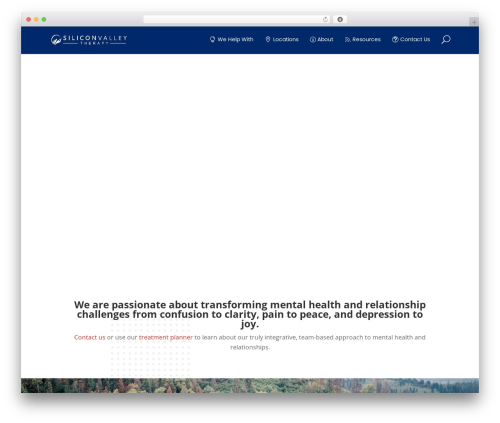 Divi theme WordPress - siliconvalleytherapy.co