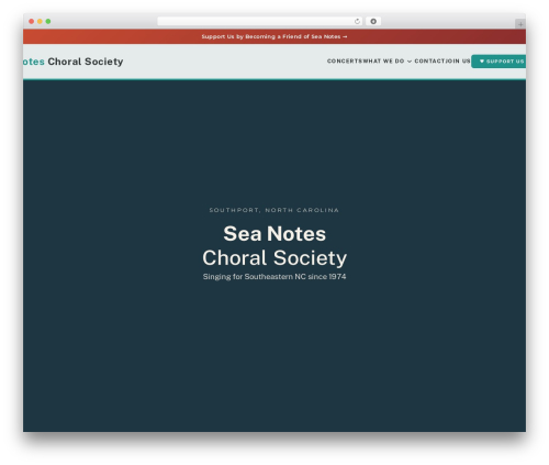Flynt theme WordPress - sea-notes.com