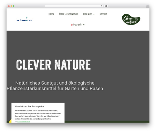 Shortcode for Current Date (shortcode-for-current-date) free WordPress plugin - clever-nature.ch