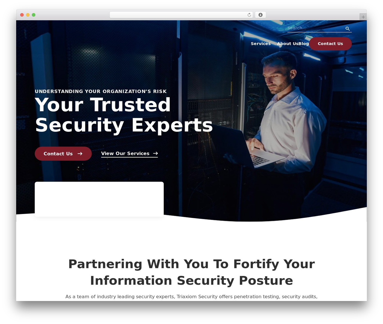 RainmakerFX (Theme 3) WordPress theme - triaxiomsecurity.com