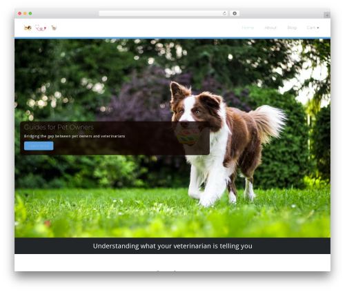 Spice Post Slider (spice-post-slider) free WordPress plugin - bitesizedpetguides.com