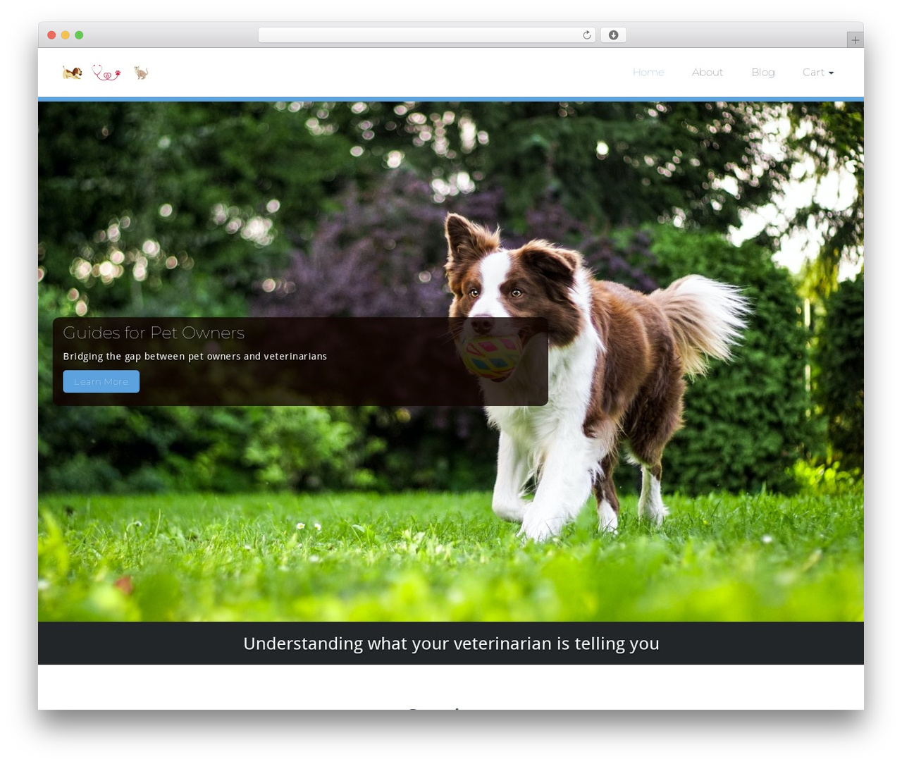 Theme WordPress Busiprof - bitesizedpetguides.com