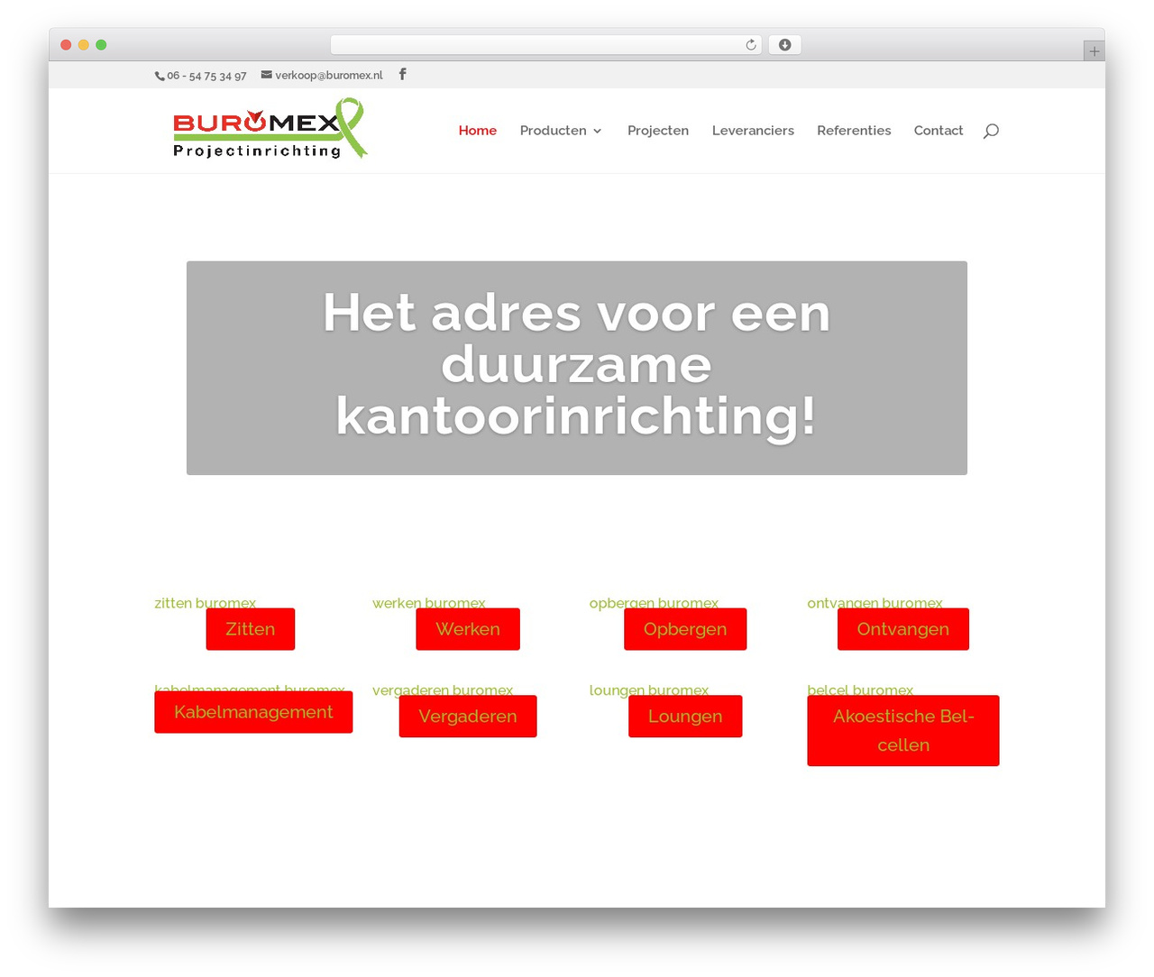 Theme WordPress Divi - buromex.nl
