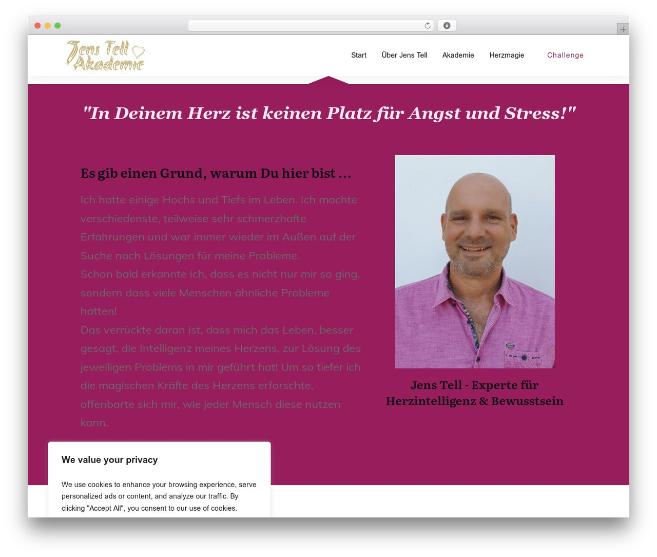 Theme WordPress Thrive Theme Builder - jenstell.com Theme WordPress Thrive Theme Builder - jenstell.com