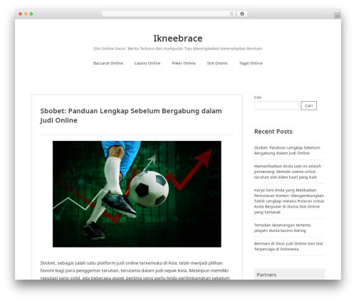 WordPress theme Noto Simple - ikneebrace.com