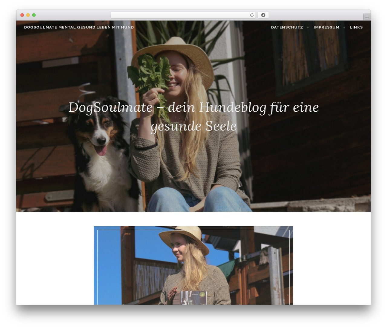 Affinity best WordPress theme - dogsoulmate.de