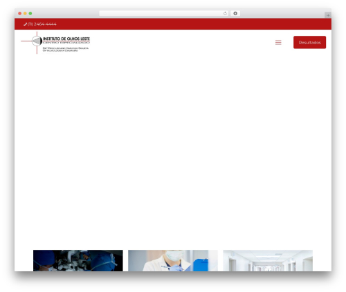 Click to chat pro WordPress plugin - institutodeolhosleste.com.br