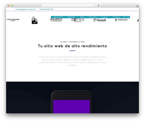 Bumblebee theme WordPress - iguana-web.com